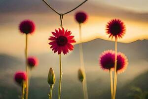 rosa fiori nel il campo a tramonto. ai-generato foto