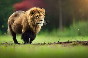 un' Leone a piedi nel il erba. ai-generato foto