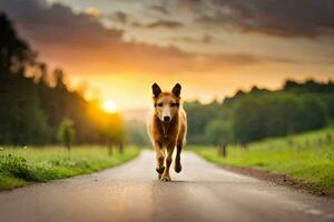 un' cane a piedi giù un' strada a tramonto. ai-generato foto