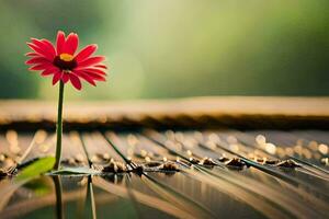 un' singolo rosso fiore è in piedi su superiore di un' pianoforte. ai-generato foto