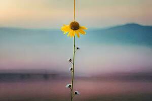 un' singolo giallo fiore sospeso a partire dal un' corda. ai-generato foto