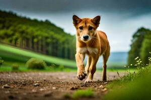 un' cane in esecuzione su un' sporco strada nel il mezzo di un' campo. ai-generato foto