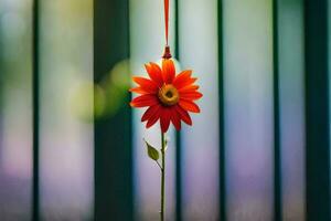 un' rosso fiore sospeso a partire dal un' corda. ai-generato foto