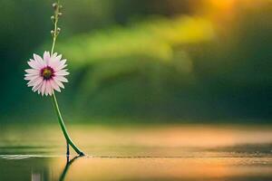 un' singolo fiore è in piedi nel il acqua. ai-generato foto