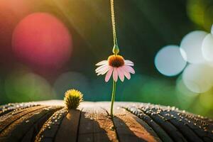 foto sfondo il sole, fiore, natura, il mondo, il mondo di natura. ai-generato