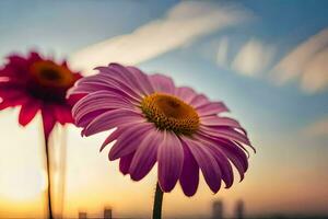 Due rosa fiori siamo nel davanti di un' tramonto. ai-generato foto