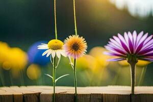 foto sfondo il cielo, fiori, il sole, il fiori, il sole, il fiori,. ai-generato