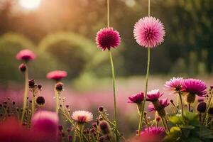 rosa fiori nel un' campo con sole splendente. ai-generato foto