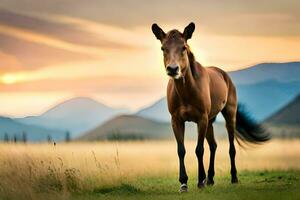 un' cavallo è a piedi nel il erba a tramonto. ai-generato foto