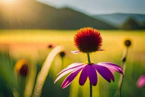 viola coneflower nel il sole. ai-generato foto