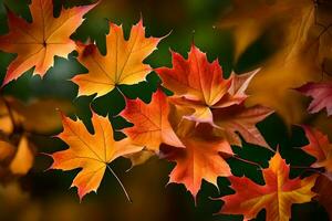 autunno le foglie siamo mostrato nel Questo Immagine. ai-generato foto