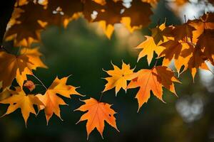 autunno le foglie siamo mostrato nel Questo foto. ai-generato foto
