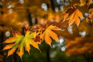 autunno le foglie nel il foresta. ai-generato foto