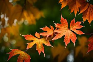 autunno foglie, autunno, autunno foglie, autunno foglie, autunno le foglie sfondo, autunno le foglie sfondo. ai-generato foto