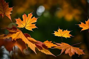 autunno le foglie siamo mostrato nel Questo foto. ai-generato foto