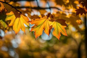 autunno foglie, autunno, autunno foglie, autunno foglie, autunno foglie, autunno foglie, autunno. ai-generato foto