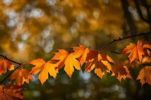 autunno le foglie su un' ramo. ai-generato foto