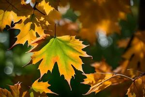 autunno foglie, autunno, autunno foglie, autunno foglie, autunno foglie, autunno foglie, autunno. ai-generato foto