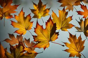 autunno le foglie siamo galleggiante nel il aria. ai-generato foto