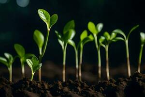 un' gruppo di giovane impianti germinazione a partire dal il suolo. ai-generato foto