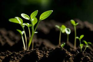 giovane impianti germinazione a partire dal il suolo. ai-generato foto