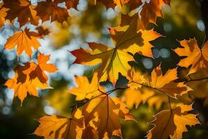 autunno le foglie siamo mostrato nel Questo foto. ai-generato foto