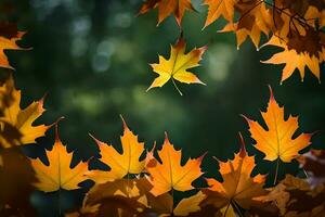 autunno le foglie siamo volante nel il aria. ai-generato foto