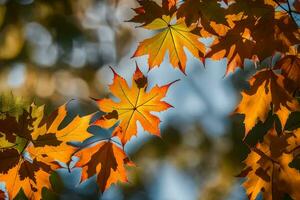 autunno le foglie siamo mostrato nel Questo foto. ai-generato foto