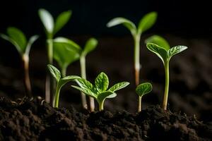 giovane impianti germinazione a partire dal il suolo. ai-generato foto