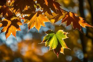 autunno le foglie nel il luce del sole. ai-generato foto