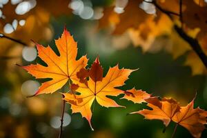 autunno le foglie su un' albero. ai-generato foto
