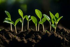 giovane impianti germinazione a partire dal il suolo. ai-generato foto