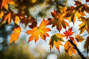 autunno le foglie siamo mostrato nel Questo foto. ai-generato foto