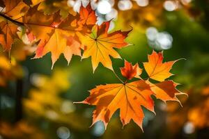 autunno le foglie siamo mostrato nel Questo foto. ai-generato foto