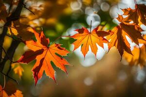 autunno le foglie su un' albero. ai-generato foto