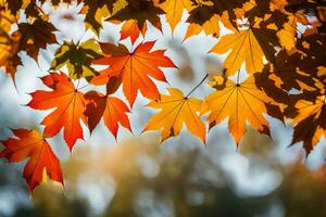 autunno le foglie siamo mostrato nel Questo foto. ai-generato foto