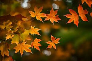 autunno le foglie siamo mostrato nel Questo foto. ai-generato foto