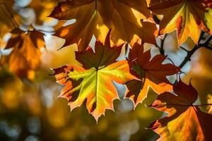 autunno foglie, autunno, autunno foglie, autunno foglie, autunno foglie, autunno foglie, autunno. ai-generato foto