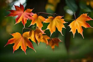 autunno foglie, autunno, foglie, autunno, foglie, autunno, foglie, autunno, le foglie. ai-generato foto