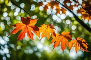 autunno le foglie su un' albero. ai-generato foto
