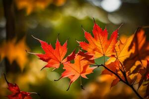 autunno foglie, autunno, autunno foglie, autunno foglie, autunno foglie, autunno foglie, autunno. ai-generato foto