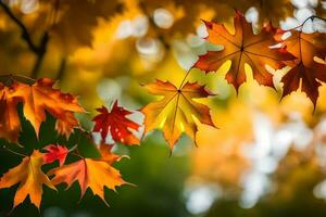 autunno le foglie siamo mostrato nel Questo Immagine. ai-generato foto