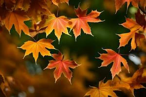 autunno le foglie siamo mostrato nel un' cerchio forma. ai-generato foto
