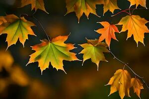 autunno le foglie sfondo HD sfondo. ai-generato foto