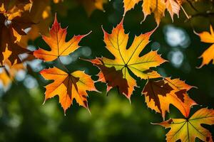 autunno foglie, autunno, autunno foglie, autunno foglie, autunno foglie, autunno foglie, autunno. ai-generato foto