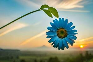 un' singolo blu fiore è mostrato nel davanti di un' tramonto. ai-generato foto