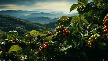 fresco verde uva su un' vite, maturo per autunno raccogliere generato di ai foto