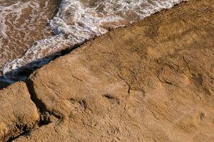 dinosauro impronte su pietra foto