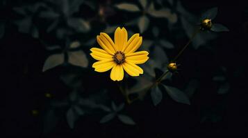 ai generativo singolo giallo fiore nel un' buio foto