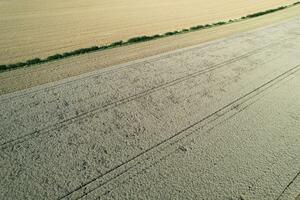 alto angolo metraggio di Britannico agricolo aziende agricole a campagna paesaggio nelle vicinanze luton città di Inghilterra grande Gran Bretagna di UK. metraggio era catturato con di droni telecamera su agosto 19, 2023 foto